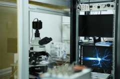 结AI算法专家、神经科学家和临床大夫